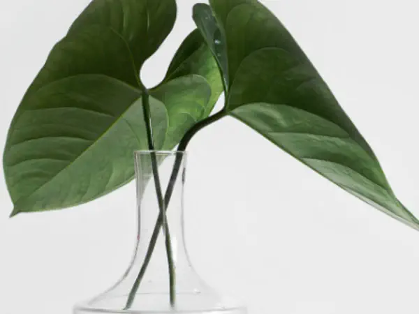 The economics of clean code