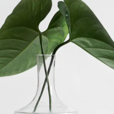 The economics of clean code